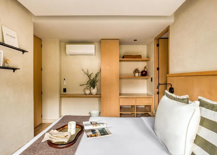 Uliv Aristo Polanco 4*