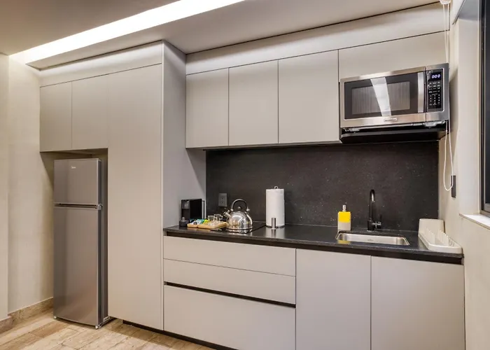 Uliv Aristo Polanco 4* Mexico City