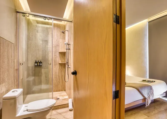 Uliv Aristo Polanco Aparthotel 4*